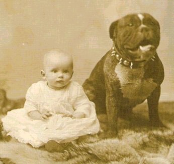 http://thecastledoctrine.net/newsImages/v10Announce/Pit_Bull_with_baby_1892.jpg